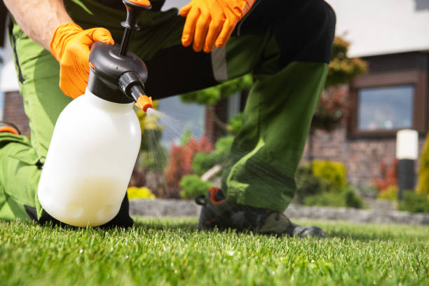 Best Affordable Pest Control Services  in Upper Saddle River, NJ