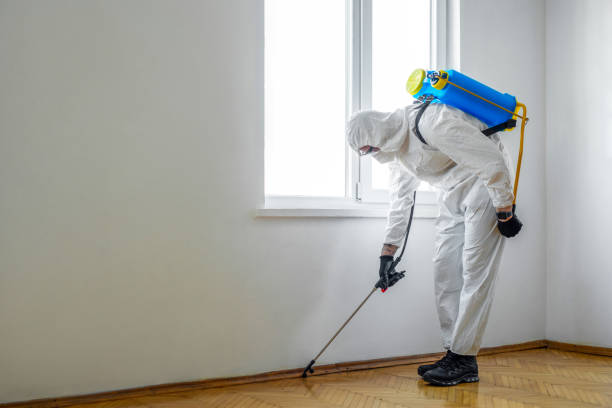 Best Insect Control  in Upper Saddle River, NJ