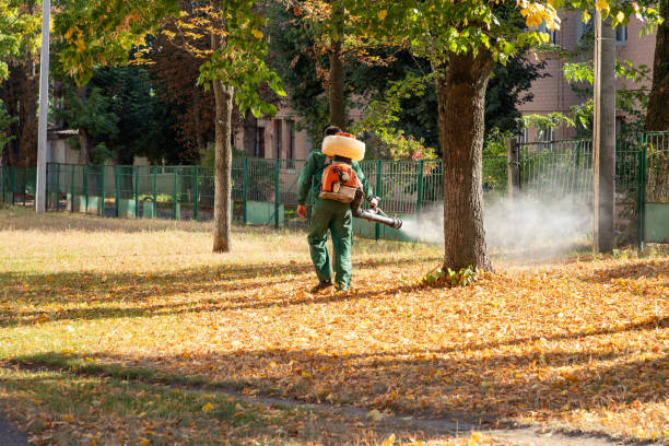 Best Pest Control Near Me  in Upper Saddle River, NJ