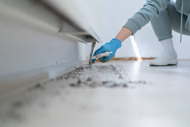 Best Commercial Pest Control Services  in Upper Saddle River, NJ